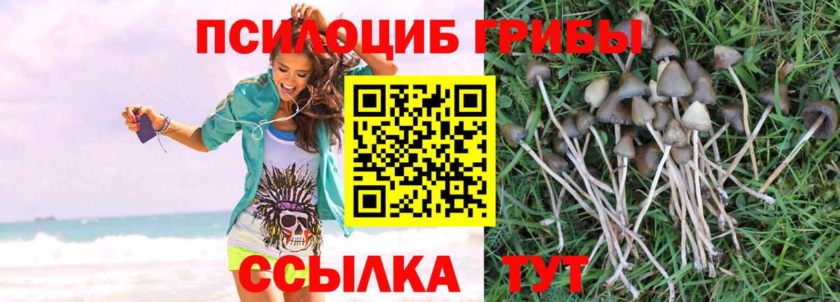Галлюциногенные грибы GOLDEN TEACHER Курган