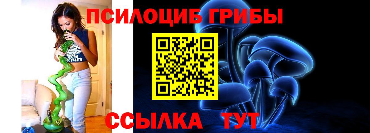 Курган  Галлюциногенные грибы мицелий  Вход с VPN 